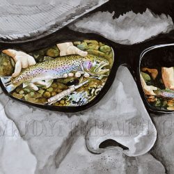 Catch and Release Reflections