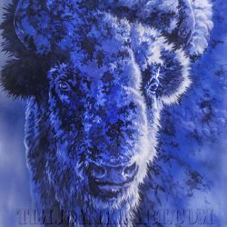 Winter Buffalo